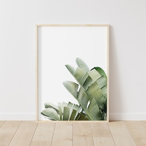 Banana Leaf Print, Banana Leaf Wall Art, Tropical Plant Print, Botanical Print, Green Leaf Printable, Summer Wall Art, Instant Download