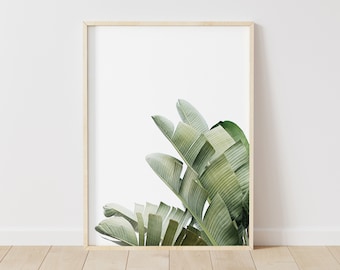Tropische bananenbladprint: groene botanische muurkunst (digitale download)