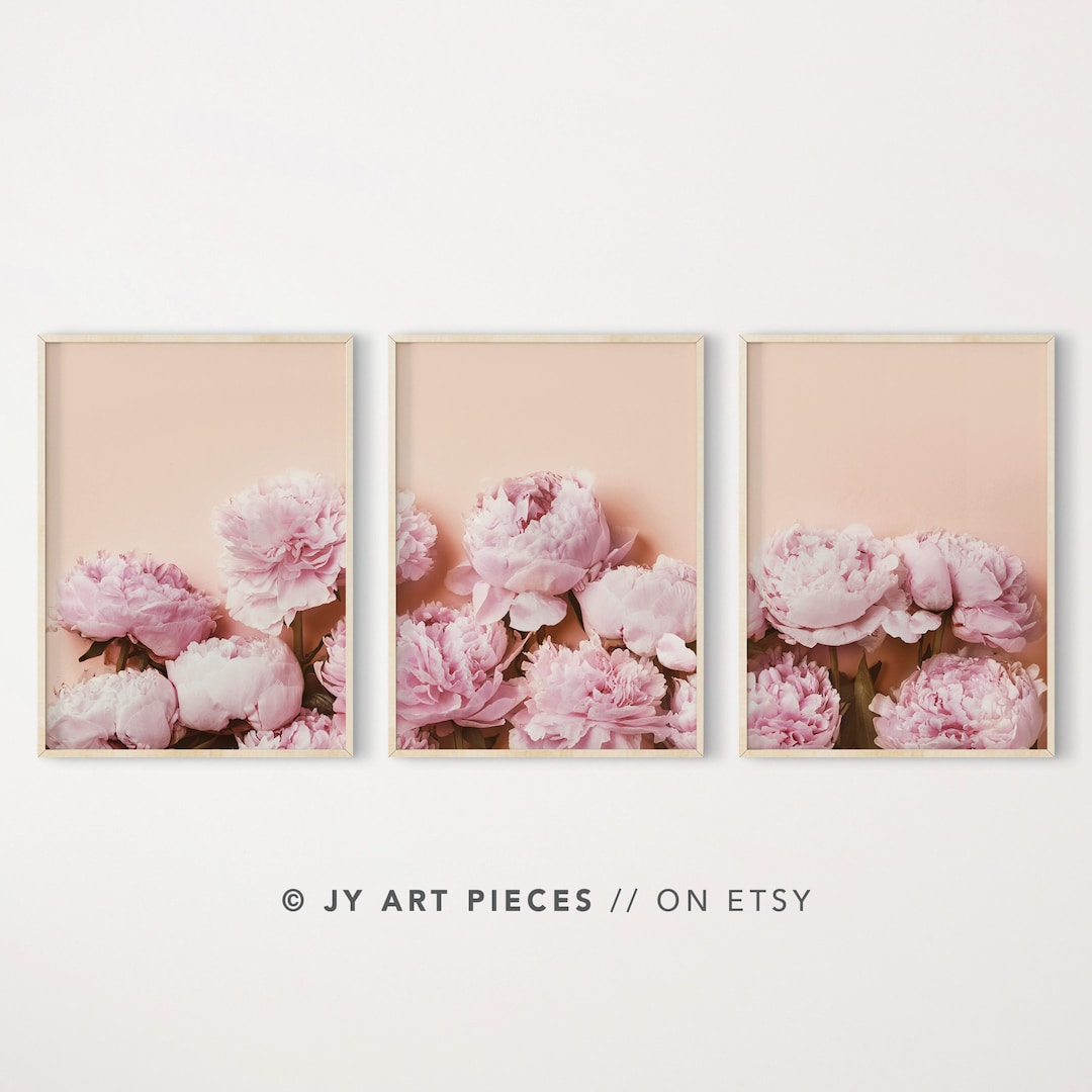 Pink Peony Photography Print Set | Blush Floral Wall Art (digital ...