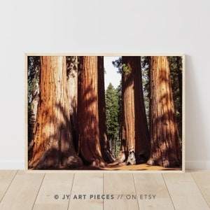 Redwood Forest Print: Autumn Nature Wall Art (Digital Download)