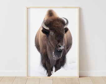 Winter Buffalo Print: Snowy Bison Wall Art (Instant Download)