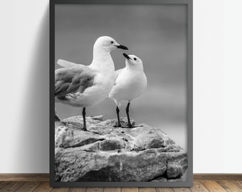 Seagull Couple Print, Black and White Coastal Wall Art (Digital Download)