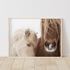 Horse Portrait Print: Farmhouse Animal Wall Art (Digital Download)