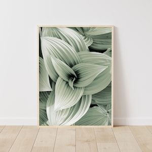Green Leaf Prints, Leaf Wall Art, Botanical Prints, Green Plant Prints, Summer Wall Art, Home Decor Leaf Art, Minimalist, Instant Download