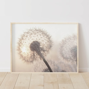 Dandelion Prints, Modern Farmhouse Wall Art, Wildflower Botanical Decor, Nature Print Set, Instant Download