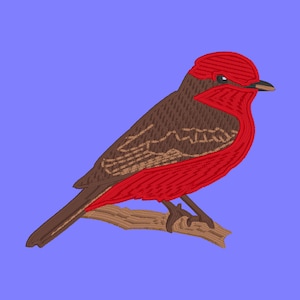 May include: A red and brown bird with a red head perched on a branch. The bird has a long tail and a short beak.