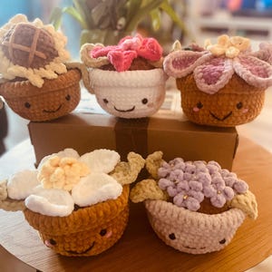 flower pots
