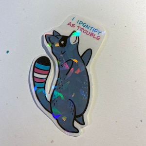 Ik identificeer als probleem Trans Pride Wasbeer Holografische Sticker lgbtqia