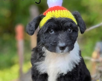 crochet candy corn halloween dog hat