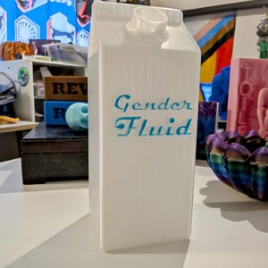 Gender Fluid - Ornament Single stem vase Talking point - Milk Carton Queer Art