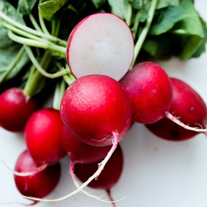 Cherry Belle Radish, 100 Seeds, Red Radish Chinese Radish Seeds Fruit Vegetable Award Heirloom Non-GMO US Farm Free Shipping SmilingSeeds