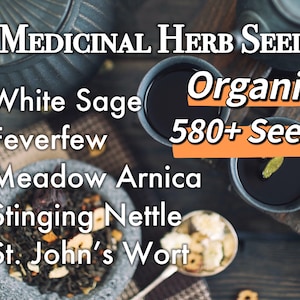5 Organic Medicinal Herbs Seeds Collection, Gift Set Medicinal & Culinary Herb Seeds Heirloom Non-GMO US Farm Free Shipping SmilingSeeds