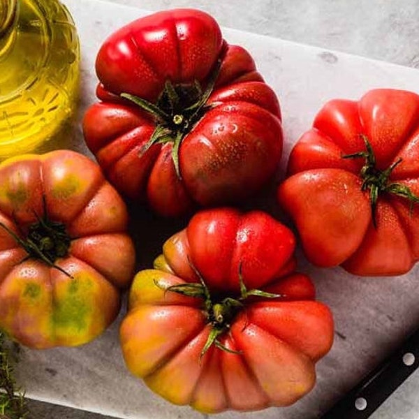 Red Brandywine Tomato, 50 Seeds, Juicy Red Tomato Seeds Large Fruit Heirloom Non-GMO US Farm Free Shipping SmilingSeeds