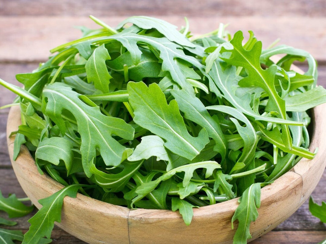 Slow Bolt Arugula, Organic, 200 Seeds, Medicinal & Culinary Herb Seeds