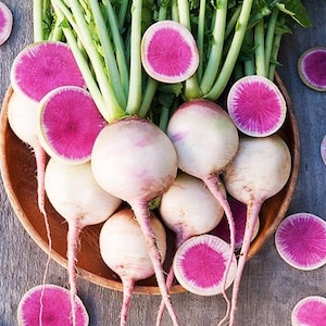 Watermelon Radish, 100 Seeds, Daikon Radish Japanese Radish Chinese Radish Seeds Fruit Heirloom Non-GMO US Farm Free Shipping SmilingSeeds