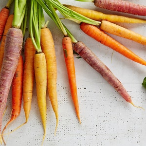 Rainbow Carrots Blend, 200 Seeds, Red Orange Purple White Yellow Baby Carrots Seeds Heirloom Non-GMO US Farm Free Shipping SmilingSeeds