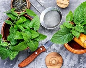 Lemon Balm, 200 Seeds, Medicinal Culinary Herb Seeds Heirloom Non-GMO US Farm Free Shipping SmilingSeeds