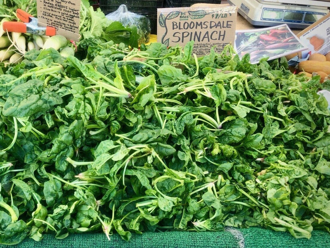 Bloomsdale Spinach Seeds for Planting