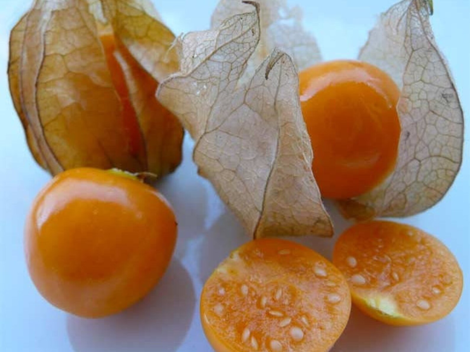 Cape Gooseberry Tomatillo 100 Seeds Ground Cherry Etsy