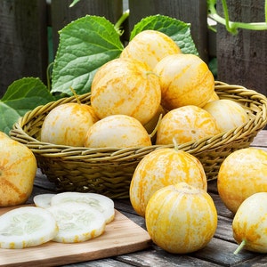 Lemon Cucumber, 30 Seeds, Round Cucumber Seeds Small Extra Sweet Fruit Heirloom Non-GMO Open Pollinated US Farm Free Shipping SmilingSeeds