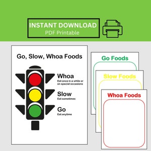 Food Group Sorting, Go Slow Whoa Food Sorting, Nutrition Activity for Kids, Healthy Eating, Five Food Groups, Homeschool, Printables