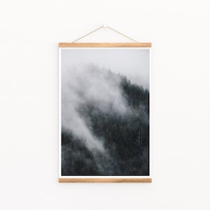 Foggy Forest Print: Pacific Northwest Landscape Photography
