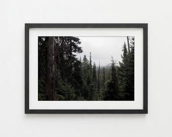 Mt. Hood National Forest Print: Moody Pacific Northwest Landscape