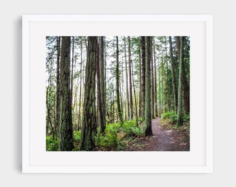 Pacific Northwest Forest Print: Washington Hiking Trail Wall Art