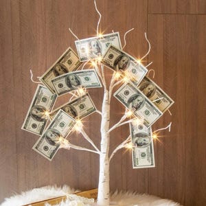 Money Tree Gift Holder, Lighted Birch Tree 2FT 24LED