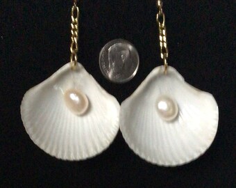 Pearl accented Fan Shell Drop Earrings (pierced)