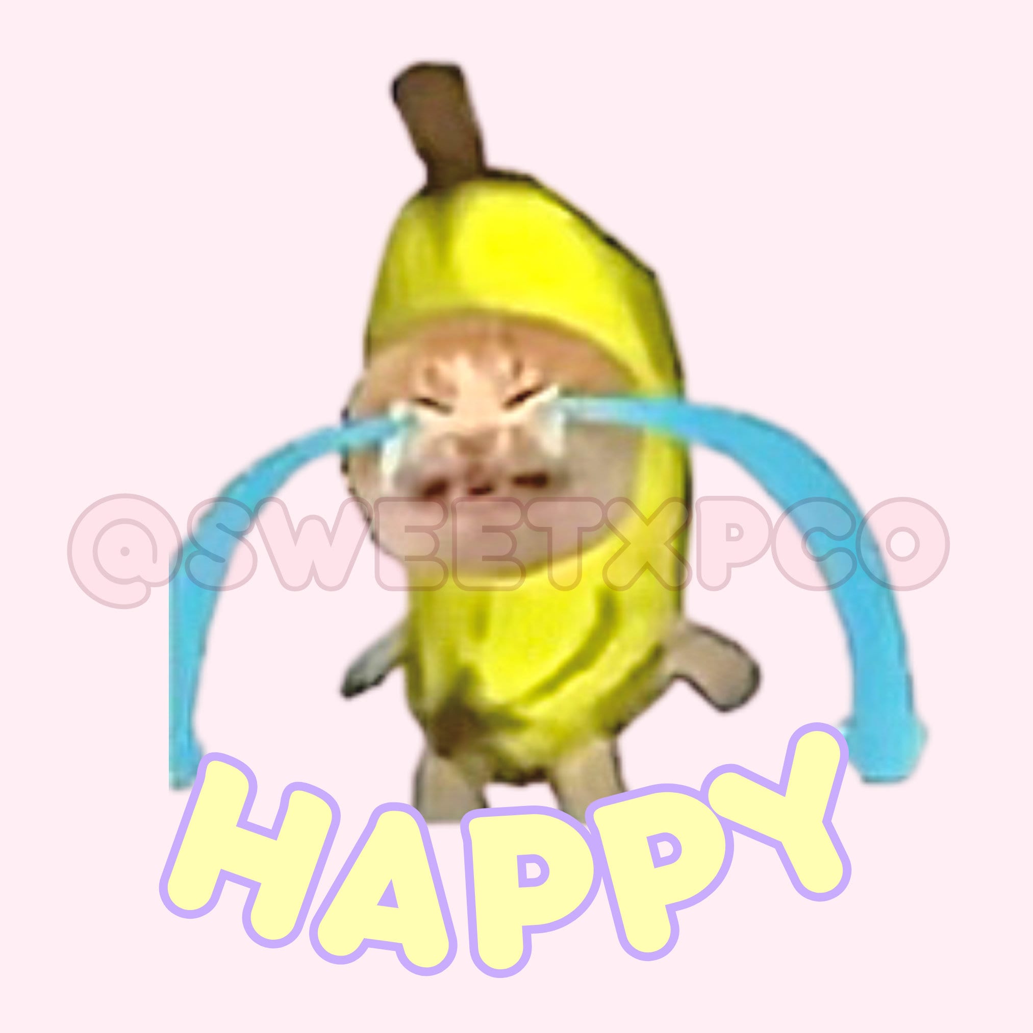 Crying Banana Cat Meme Sticker Cat Memes Cat Stickers Etsy Australia