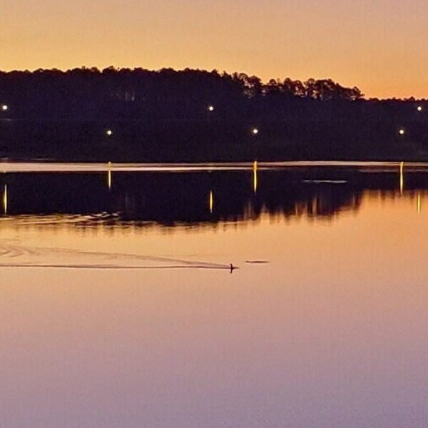 Photograph, Bonita Lakes, Meridian, MS, Sunrise, Duck, Panorama, Series