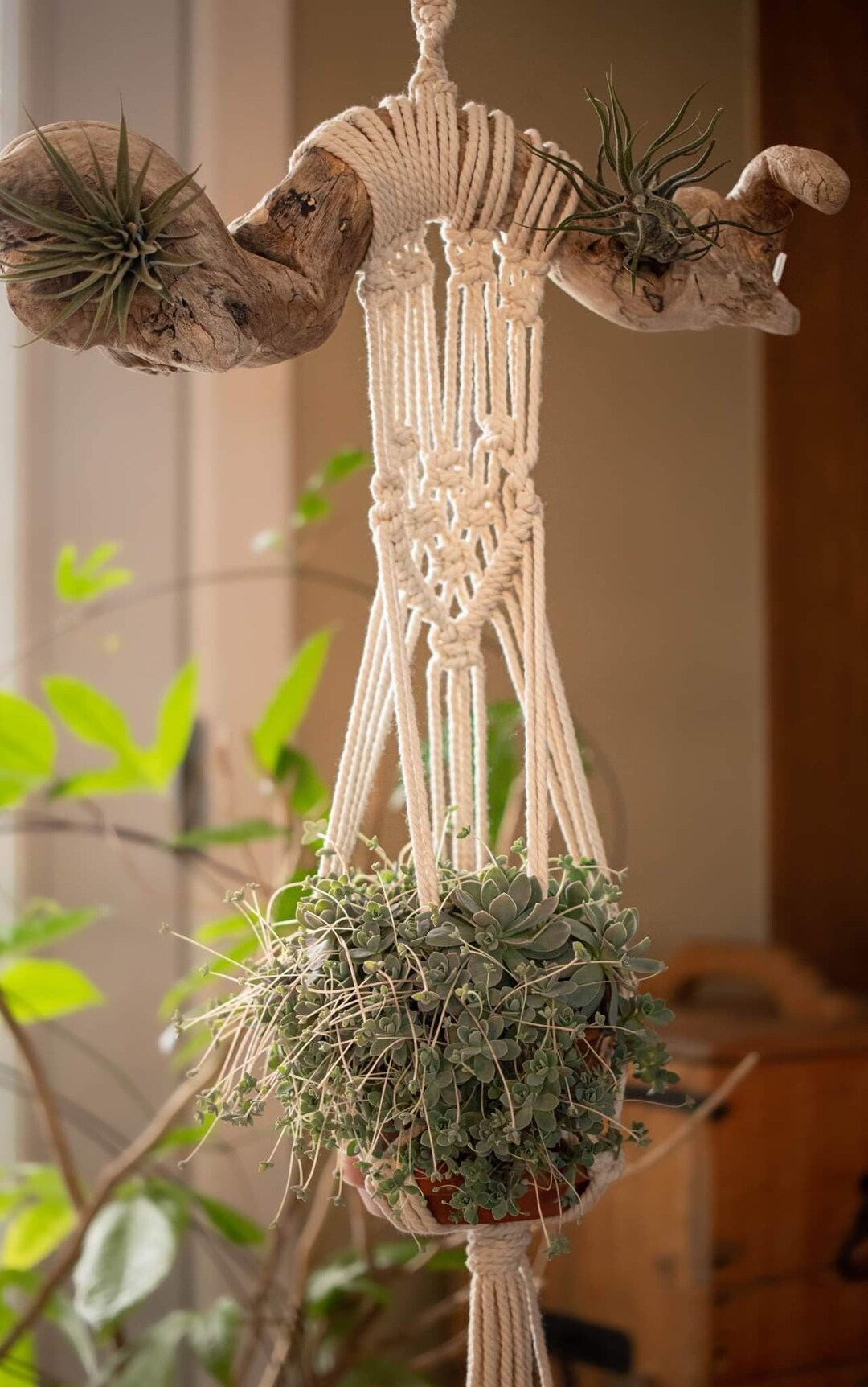 Jardinière en macramé « L'ambitieuse » main image 1