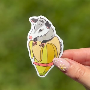 Sticker: Banana Pocket Possum Opossum Planner, Craft, Vinyl Art Sticker, Wildlife, Animal Rehab, Animal Lover