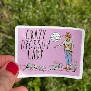 Sticker: Crazy Opossum Lady Possum Opossum Planner, Craft, Vinyl Art Sticker, Wildtiere, Tier Reha, Tierkatzenliebhaber, lustig, Humor