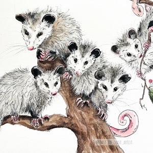 Print : Im Watching You Opossum Possum Wildlife Art, Rehab Animal, Woodland Watercolor Print