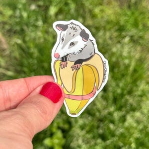 Adesivo: Banana Pocket Possum Ogambá Planner, Artesanato, Adesivo de Arte em Vinil, Vida Selvagem, Reabilitação Animal, Amante de Animais