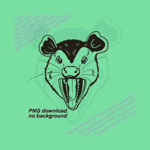 Arquivo: Gambá SVG, gambá, floresta, gambá selvagem da Virgínia, rosto de animal fofo, cabeça, vetor, Clipart, Download, Cricut, camisa svg, PNG