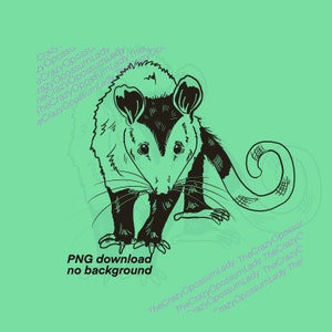Fichier : Opossum SVG, opossum, forêt, opossum de Virginie sauvage, visage d'animal mignon, tête, vecteur, Clipart, téléchargement, Cricut, chemise svg, PNG