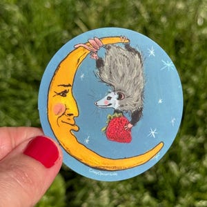 Pegatina: La zarigüeya que ofrece Planificador de zarigüeyas, Manualidades, Pegatinas de vinilo, Vida salvaje, Rehabilitación de animales, Amante de los animales