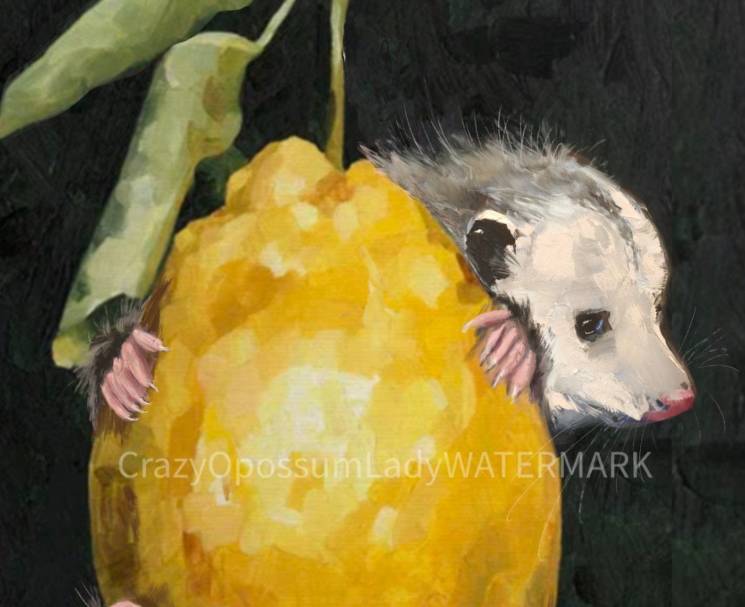 Caring for Possums [ペーパーバック] Smith， Barbara il_1080xN.3581923130_4e7i.jpg