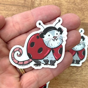 Sticker: Ladybug Possum Opossum Planner, Craft, Vinyl Art Sticker, Wildlife, Animal Rehab, Animal Lover