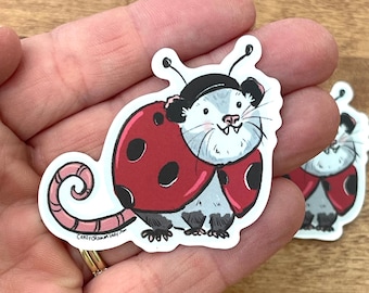 Sticker: Ladybug Possum Opossum Planner, Craft, Vinyl Art Sticker, Wildlife, Animal Rehab, Animal Lover