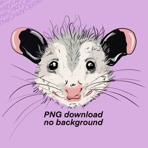 Datei: Opossum SVG, Opossum, Wald, wildes Virginia Opossum, süßes Tier Gesicht, Kopf, Vektor, Clipart, Download, Cricut, Shirt svg, PNG