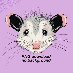 File : Opossum SVG, possum, woodland, wild Virginia opossum, cute animal face, head, vector, Clipart, Download, Cricut, shirt svg, PNG