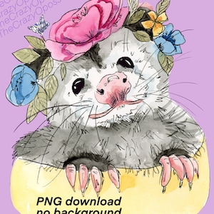 Datei: Opossum SVG, Opossum, Wald, wildes Virginia Opossum, süßes Tier Gesicht, Kopf, Vektor, Clipart, Download, Cricut, Shirt svg, PNG