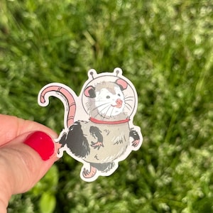 Aufkleber: Space Possum Opossum Planner, Craft, Vinyl Art Sticker, Wildtiere, Tier-Rehab, Tierliebhaber