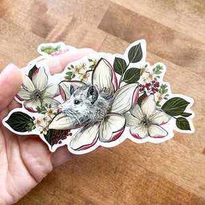 Aufkleber: Mega Possum Opossum Planner, Craft, Vinyl Art Sticker, Wildtiere, Tier Rehab, Tierliebhaber