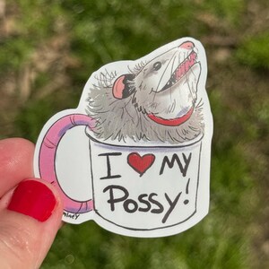 Sticker: I Love My Opossum Opossum Planner, Handgemachter, Vinyl Art Sticker, Wildtiere, Tier Rehab, Tierliebhaber
