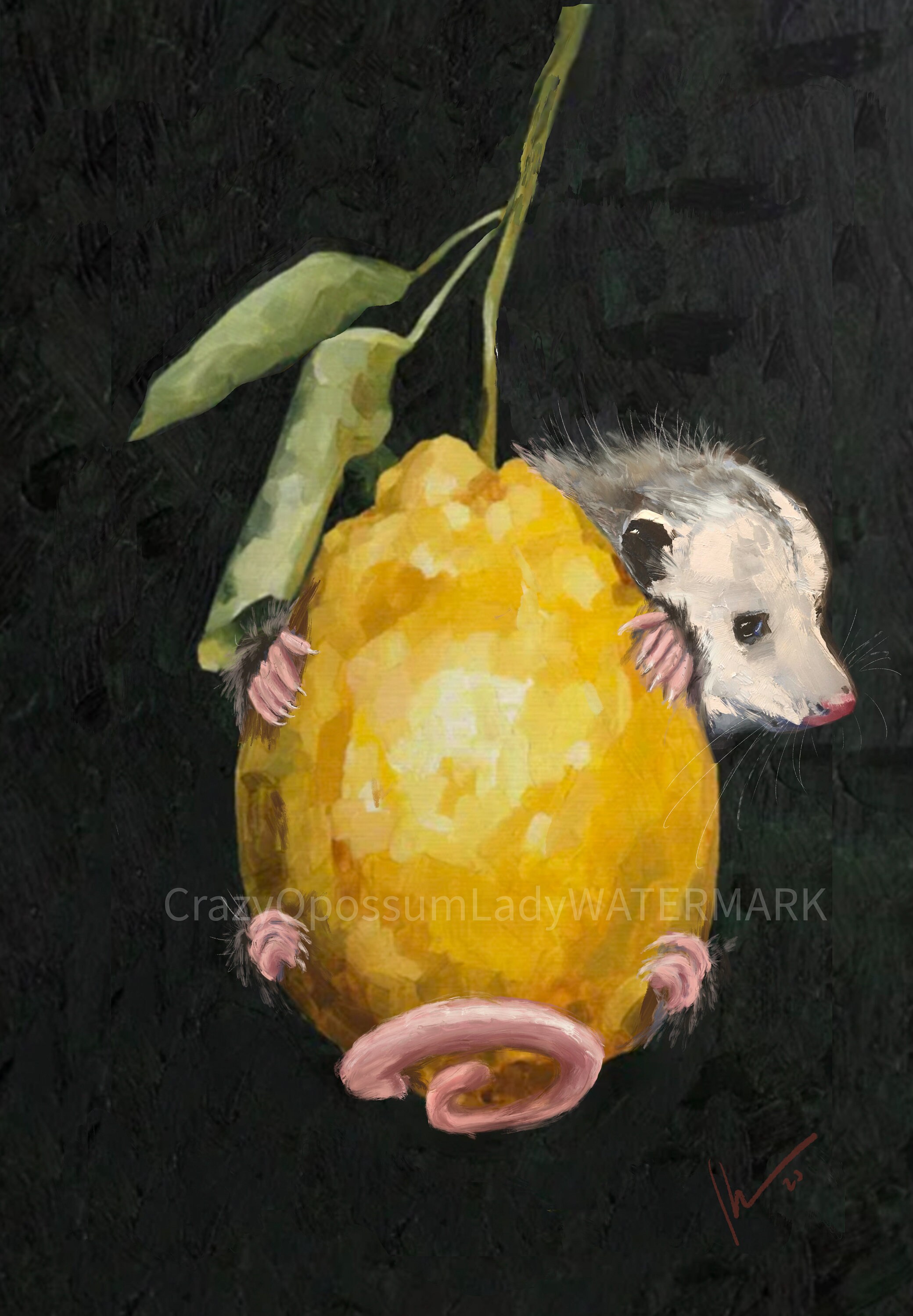 Caring for Possums [ペーパーバック] Smith， Barbara il_1080xN.3581923130_4e7i.jpg